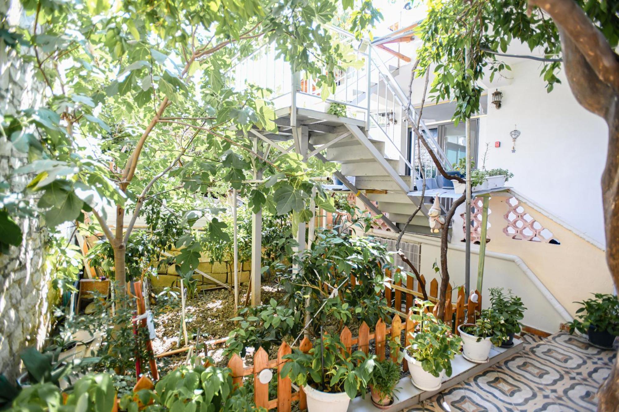 Guest House Flowers Berat Bagian luar foto